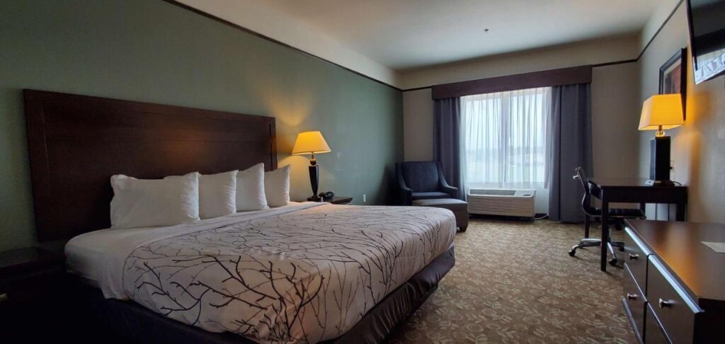 Best Western Plus Emory at Lake Fork Inn & Suites - Image 4