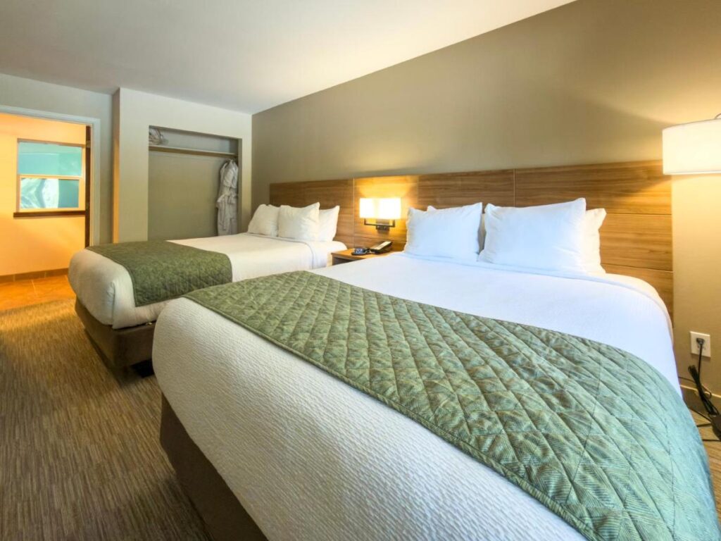 Carson Hot Springs Resort & Spa - Image 5