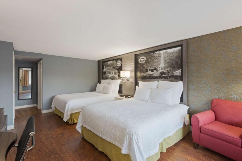 Super 8 by Wyndham Sturbridge - Image 6