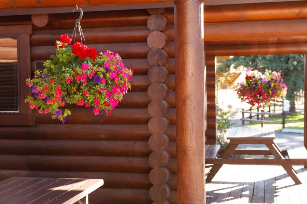 Elk Country Inn - Image 6