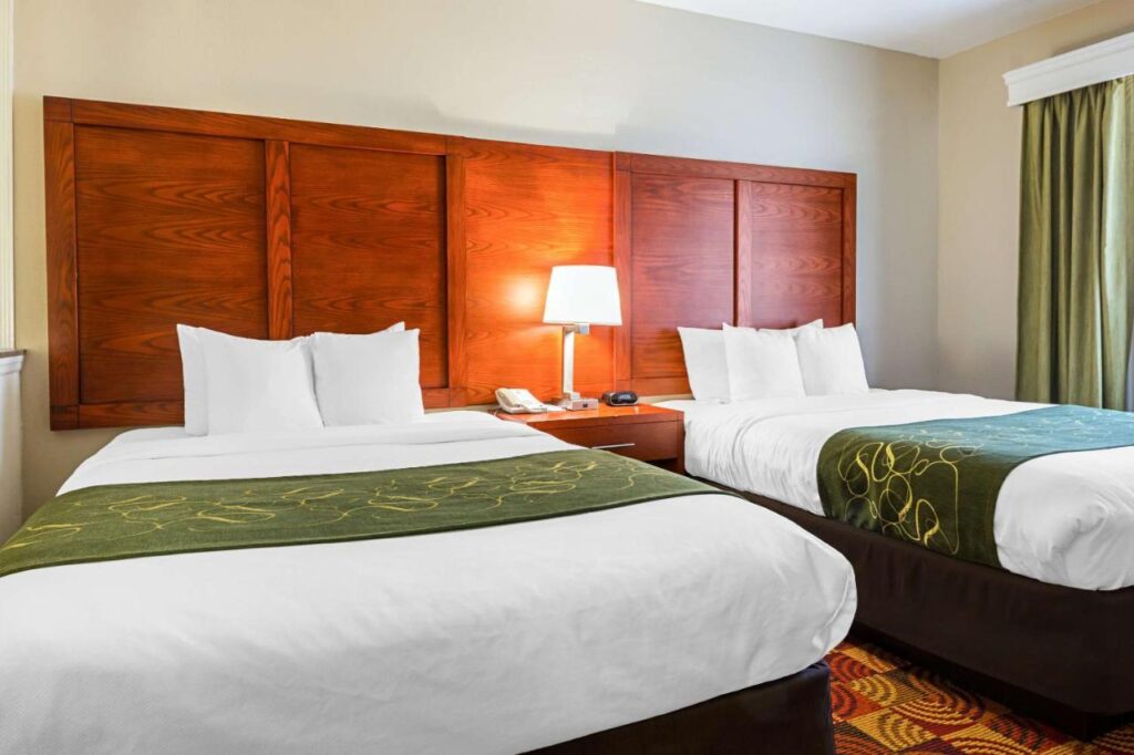 Comfort Suites Lake Charles - Image 1