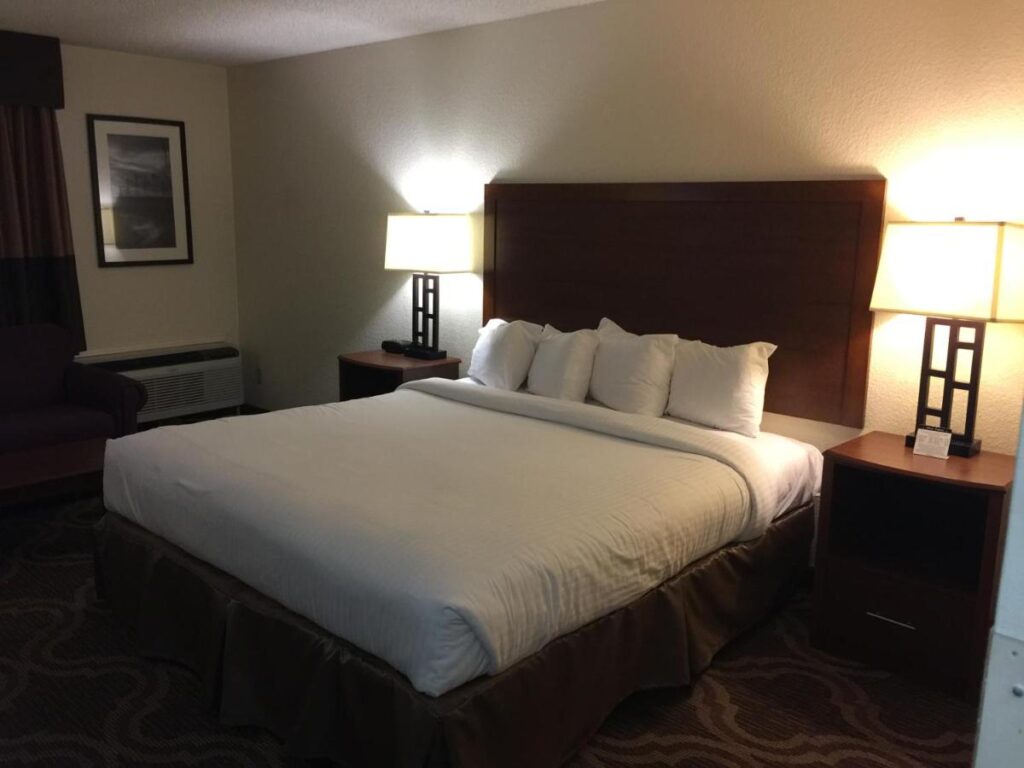 Ashmore Inn and Suites Lubbock - Image 5