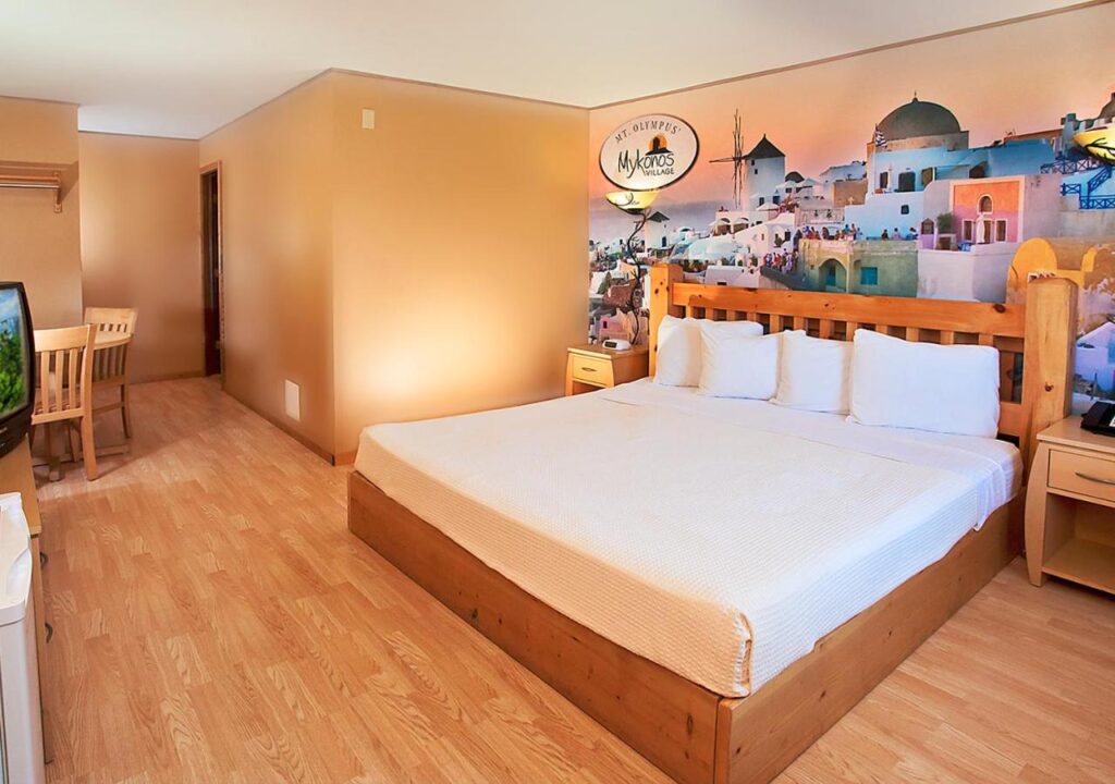 MT. OLYMPUS WATER PARK AND THEME PARK RESORT - Image 3
